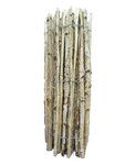 Birch fence 80 x 460 cm