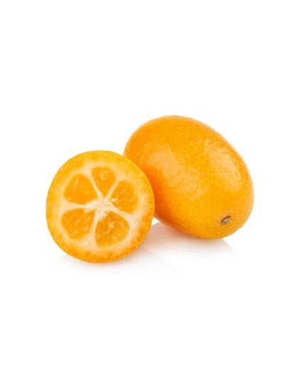 Citrus kumquat - trunk 15-25 cm - total height 40-50 cm - pot &Oslash; 15 cm