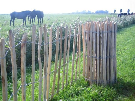 Chestnut fence - 100 cm x 460 cm