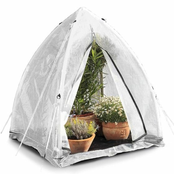 Tente de protection hivernale pour plantes exotiques - L 240 cm x 240 cm -  MyPalmShop