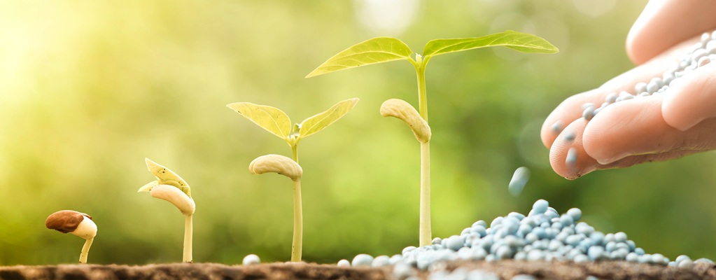 Accessories Accessories