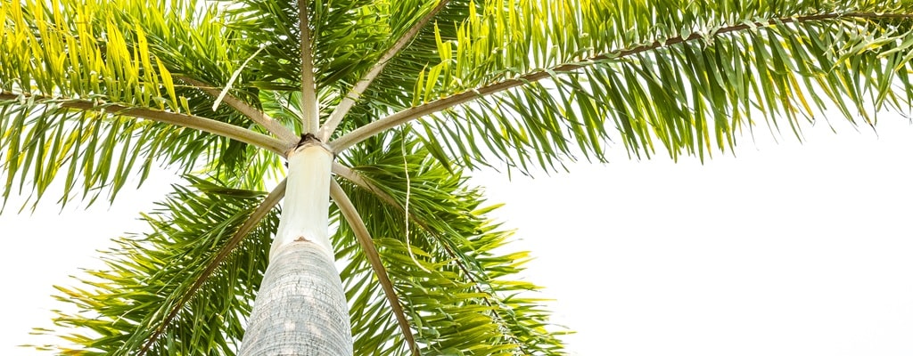 Promotions Promotions