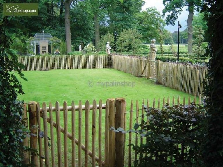 Chestnut fence