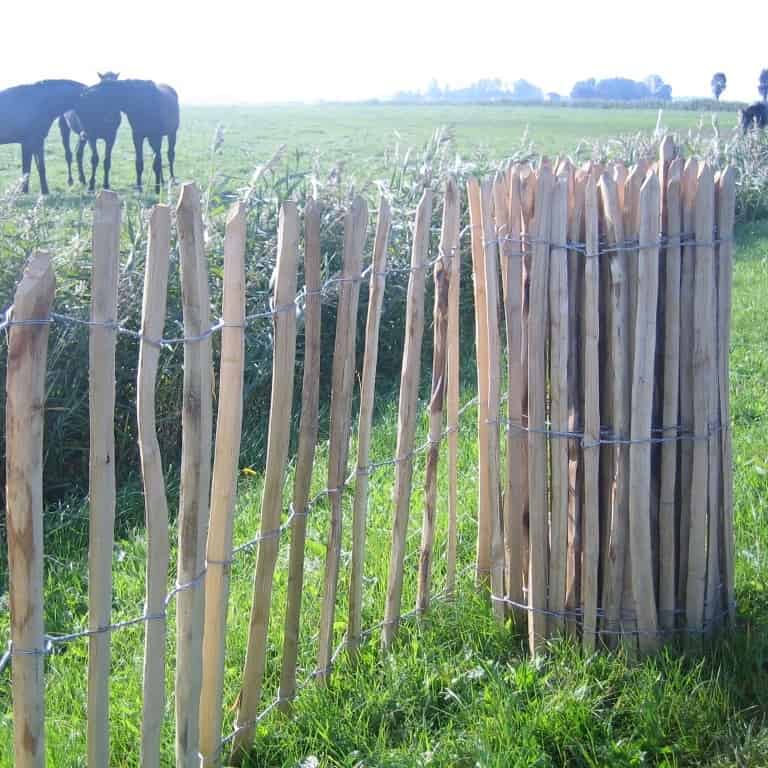 Various applications of chestnut fencing in your garden